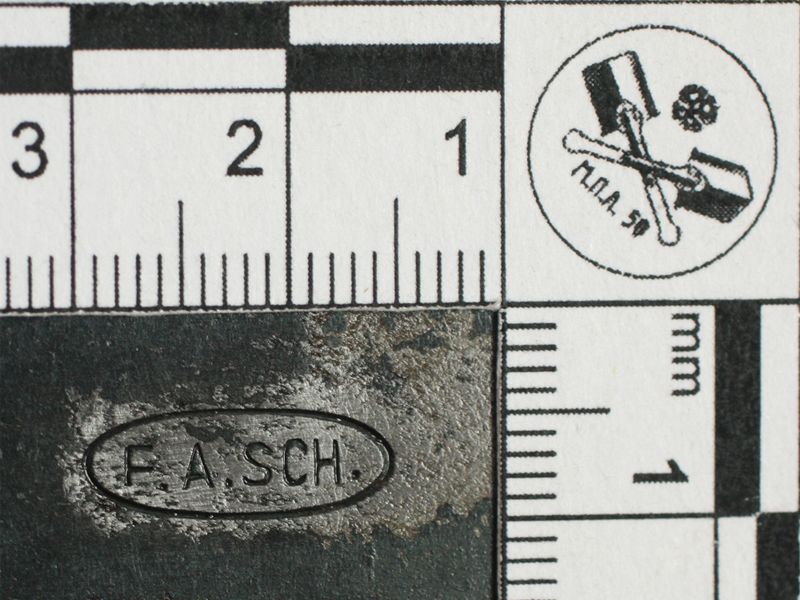Файл:Swiss FASCH 02.jpg