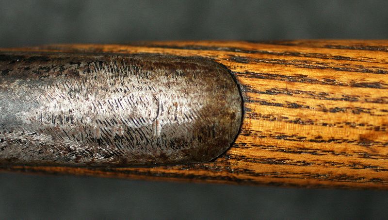 Файл:Swiss FASCH 05.jpg