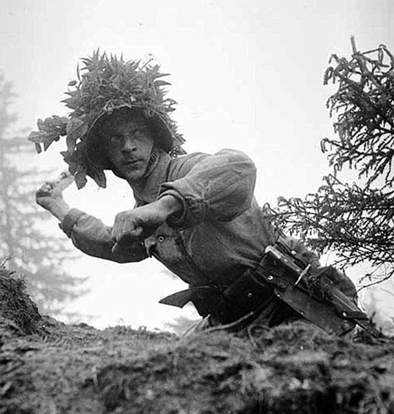 Файл:SwissFoto 75.jpg